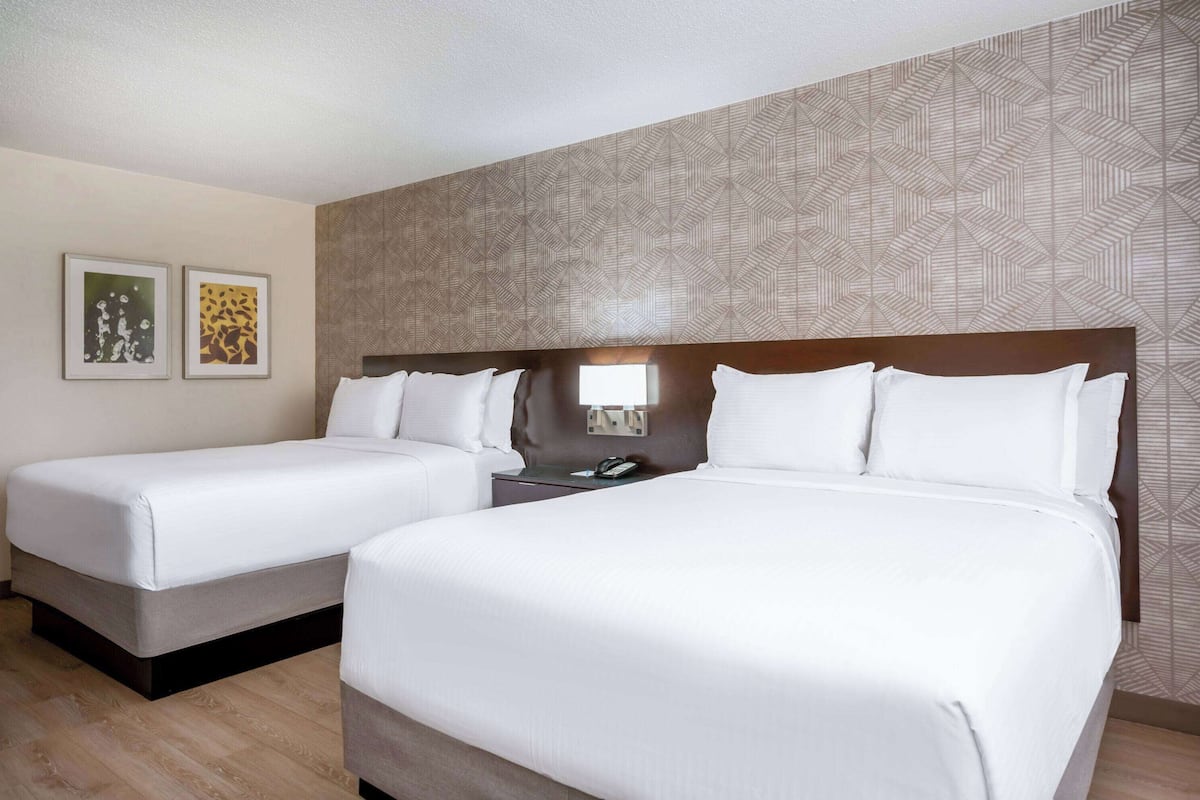 Chambre « Premier », 2 grands lits, non-fumeur