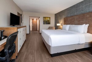 Habitación de hotel con cama, escritorio, silla, televisor y un cuadro en la pared.