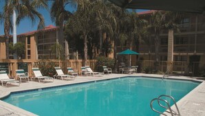 Una piscina con sillas de descanso y sombrillas, rodeada de palmeras y un edificio con balcones.