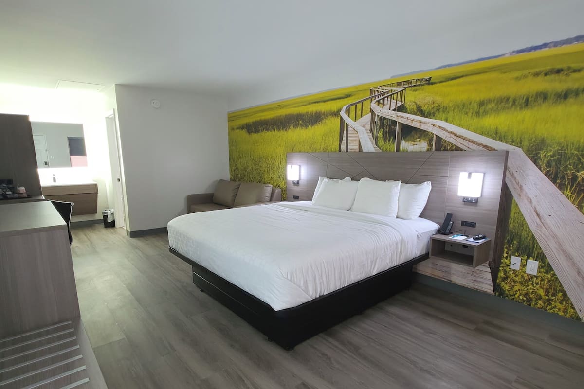 Room, 1 King Bed with Sofa bed, Non Smoking | Desk, laptop workspace, blackout drapes, iron/ironing board