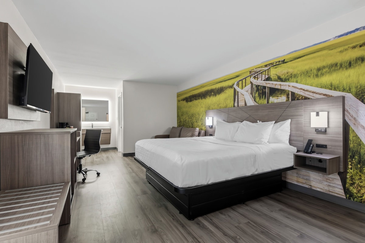 Room, 1 King Bed with Sofa bed, Non Smoking | Desk, laptop workspace, blackout curtains, iron/ironing board