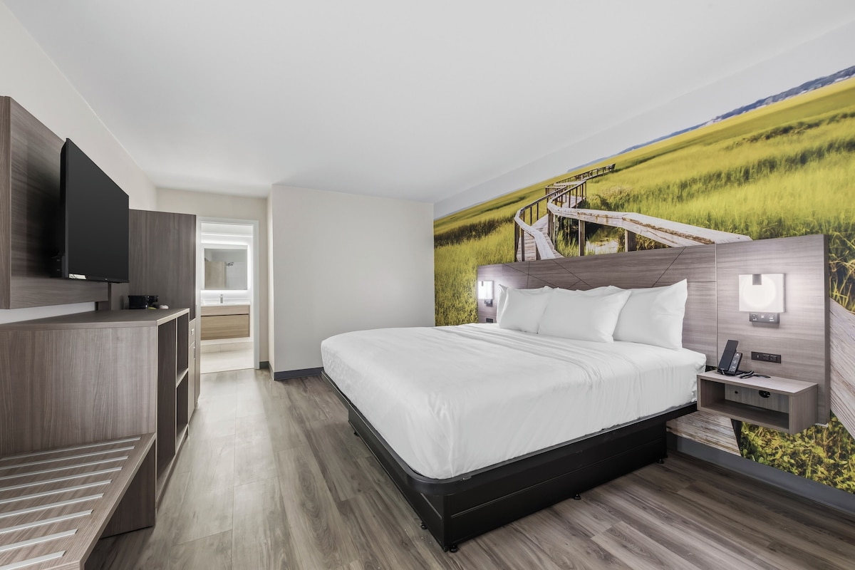 Room, 1 King Bed, Accessible, Non Smoking | Desk, laptop workspace, blackout curtains, iron/ironing board