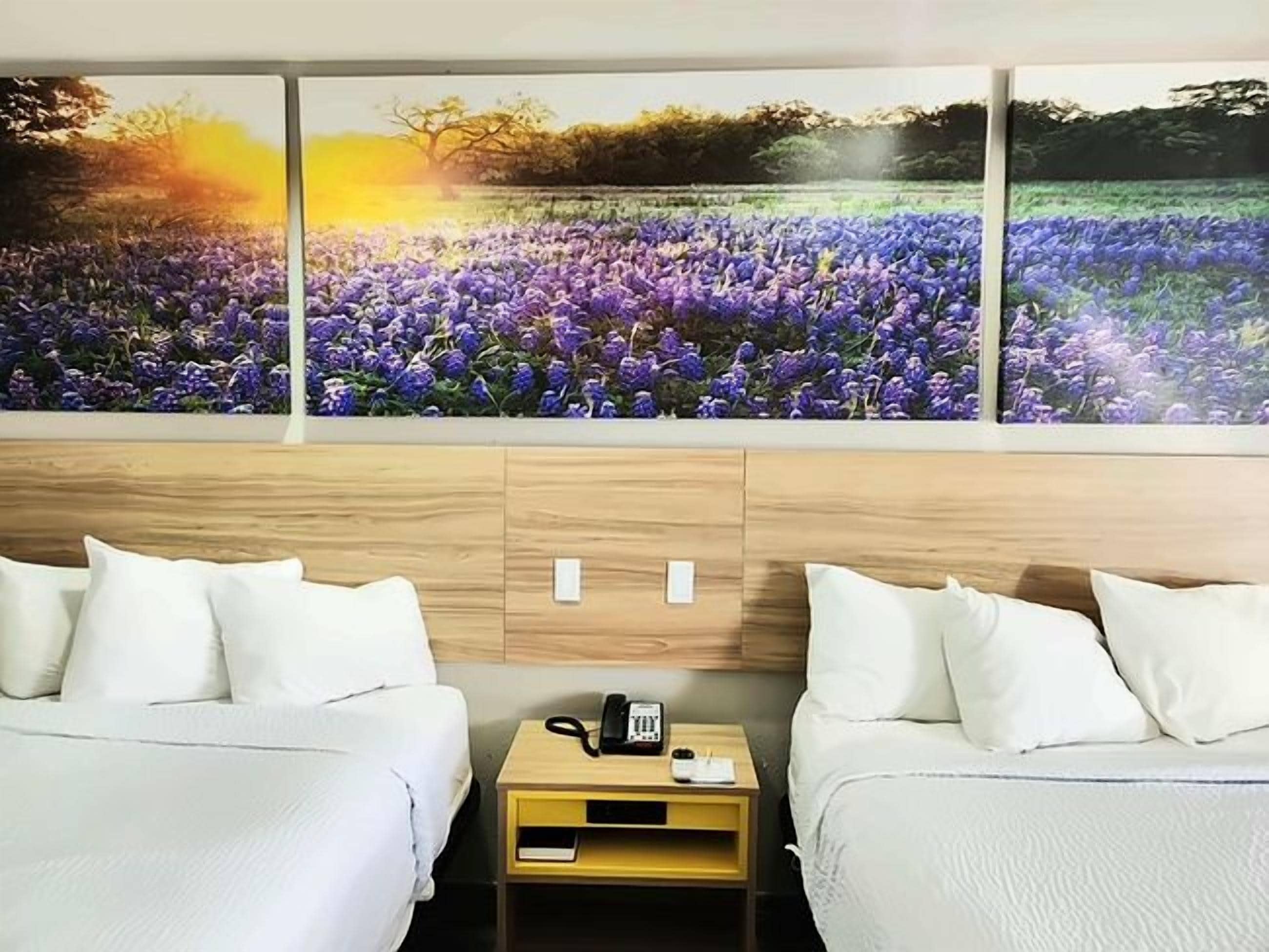 Une chambre d’hôtel avec deux lits, une table de chevet avec un téléphone et un grand tableau représentant un champ, accroché au mur.