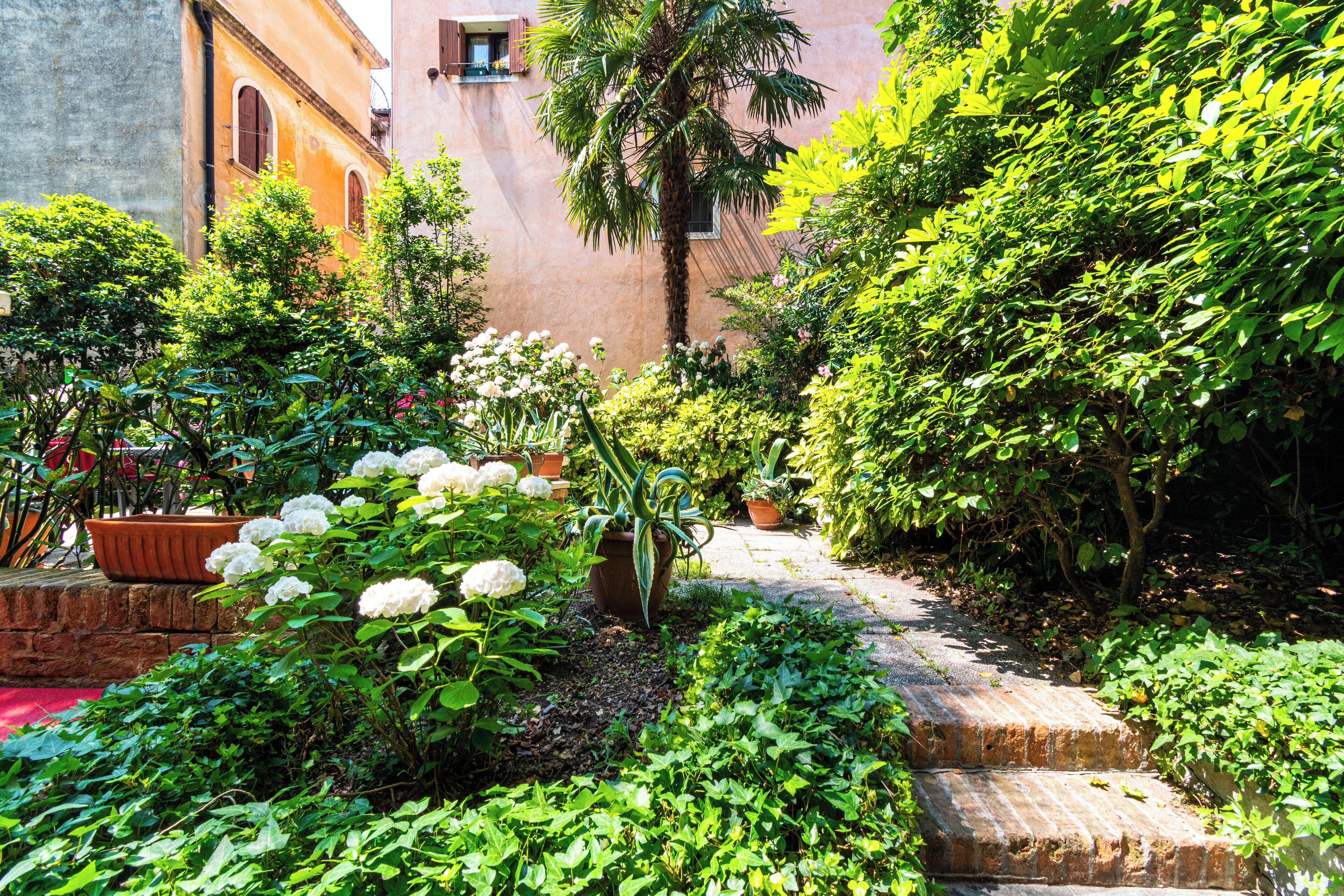 Foto - Hotel Amadeus