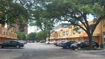 A row of parked cars along a tree-lined street with multi-story buildings in the background.