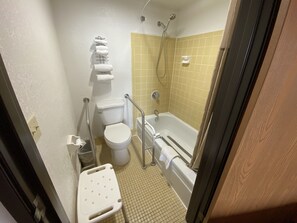 A small bathroom with a toilet, a shower, and a grab bar.