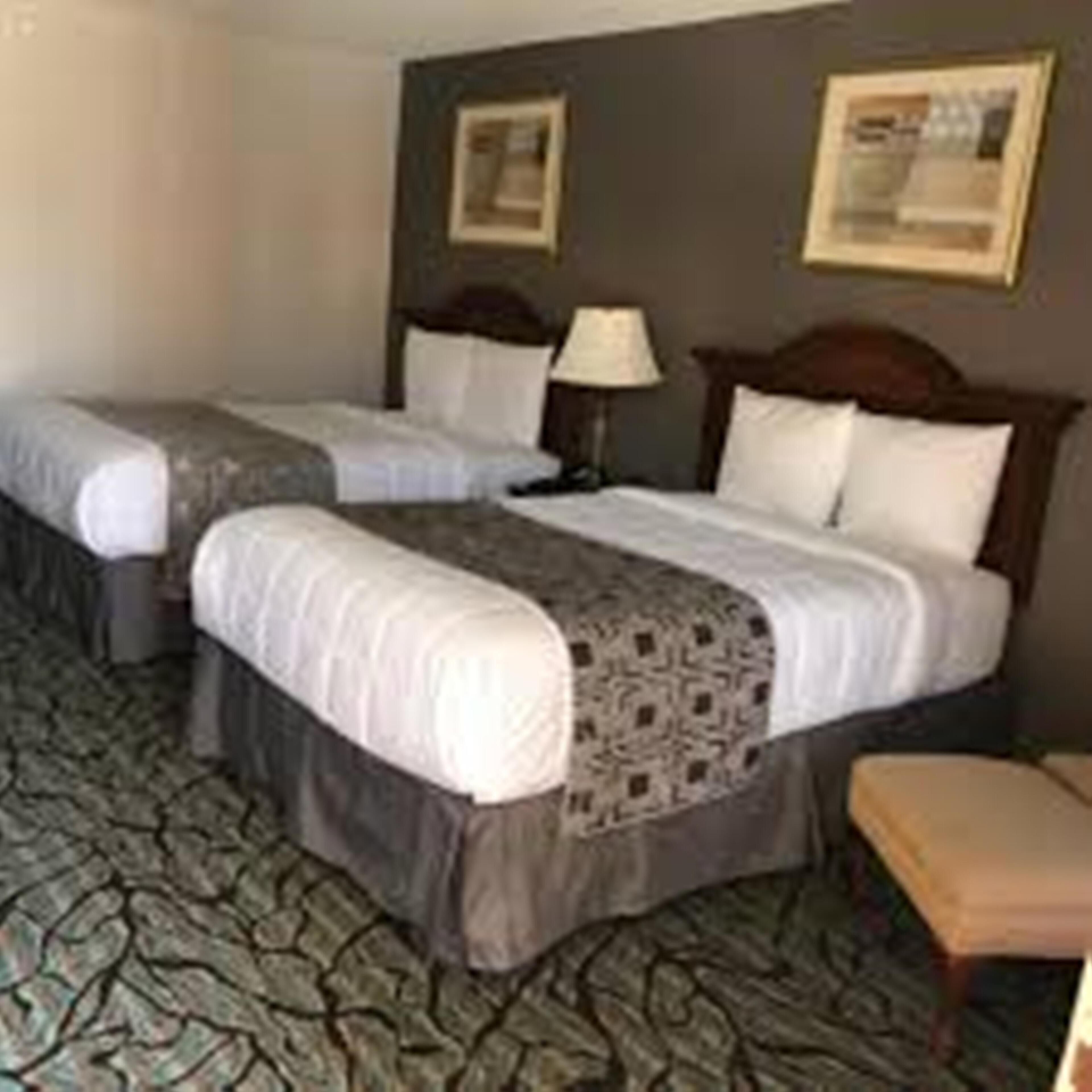 A hotel room with two beds, a nightstand, a lamp, and a patterned carpet.