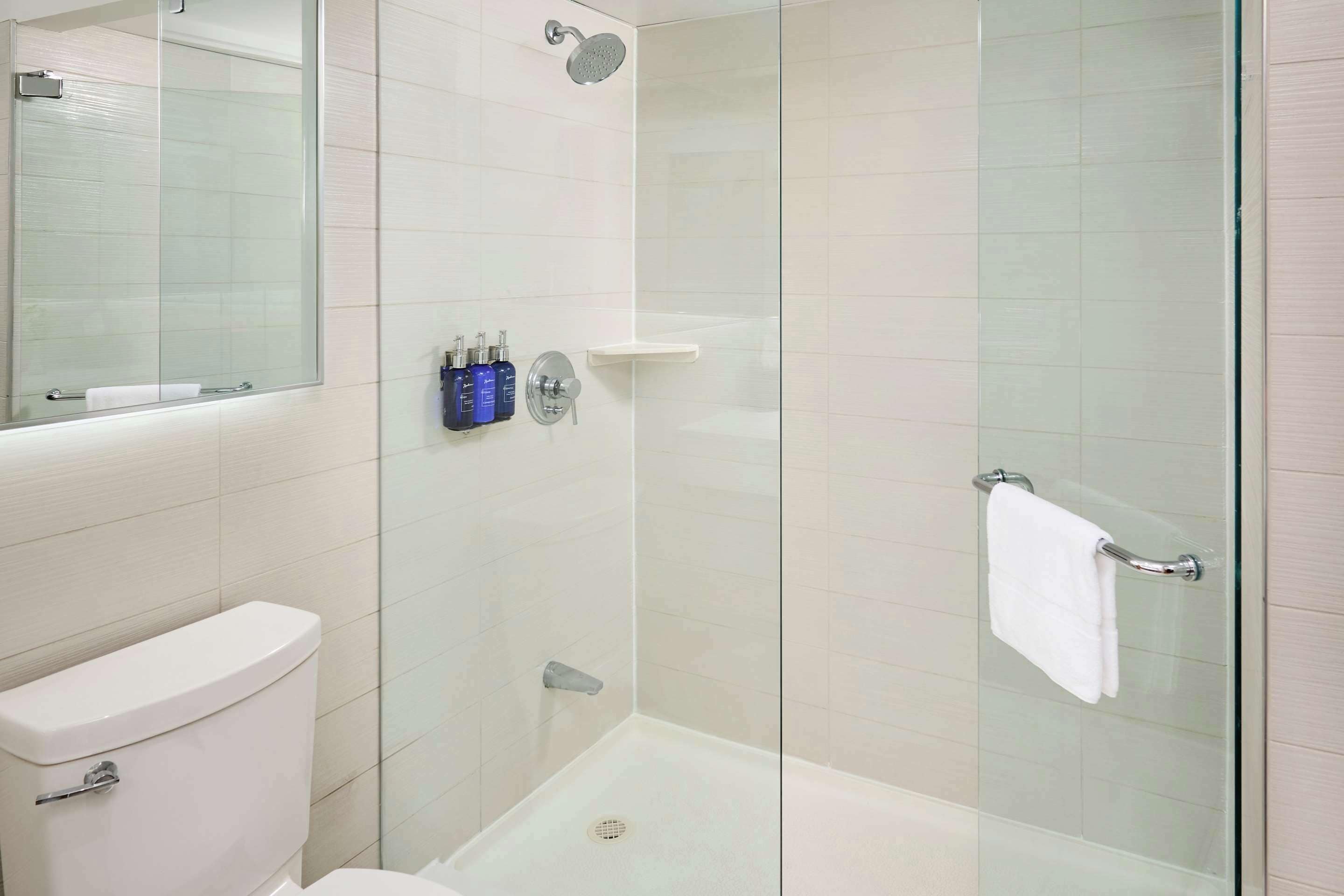 Een moderne badkamer met een douche met glazen wand, een toilet en een spiegel.