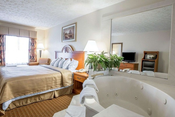 Iron/ironing board, free cribs/infant beds, rollaway beds, free WiFi