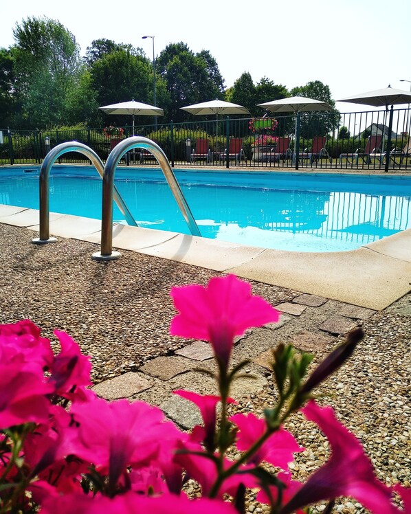 Outdoor pool, pool loungers