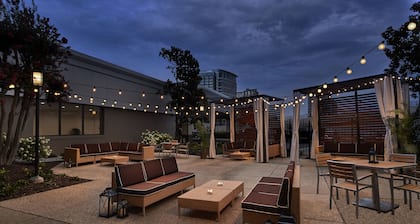 Holiday Inn Alexandria at Carlyle by IHG
