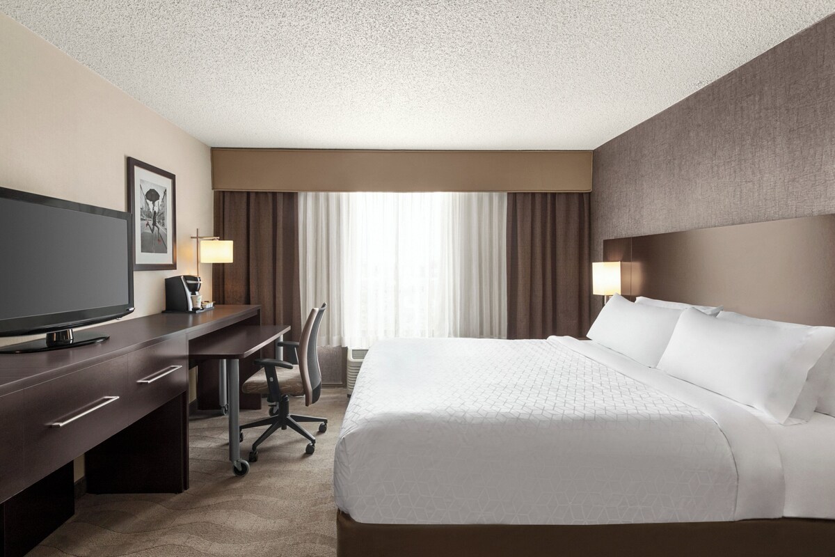 Standard Room, 1 King Bed with Sofa bed