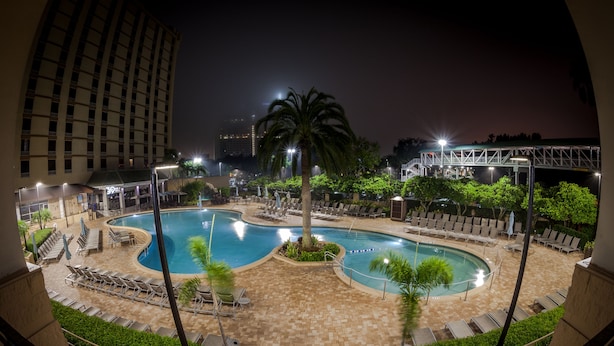 A nighttime view of a hotel pool area with a large pool, sun loungers, and a palm tree. - Rosen Plaza on International Drive (Orlando)