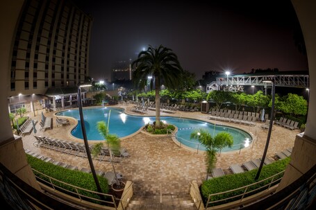 Rosen Plaza on International Drive - Image 19