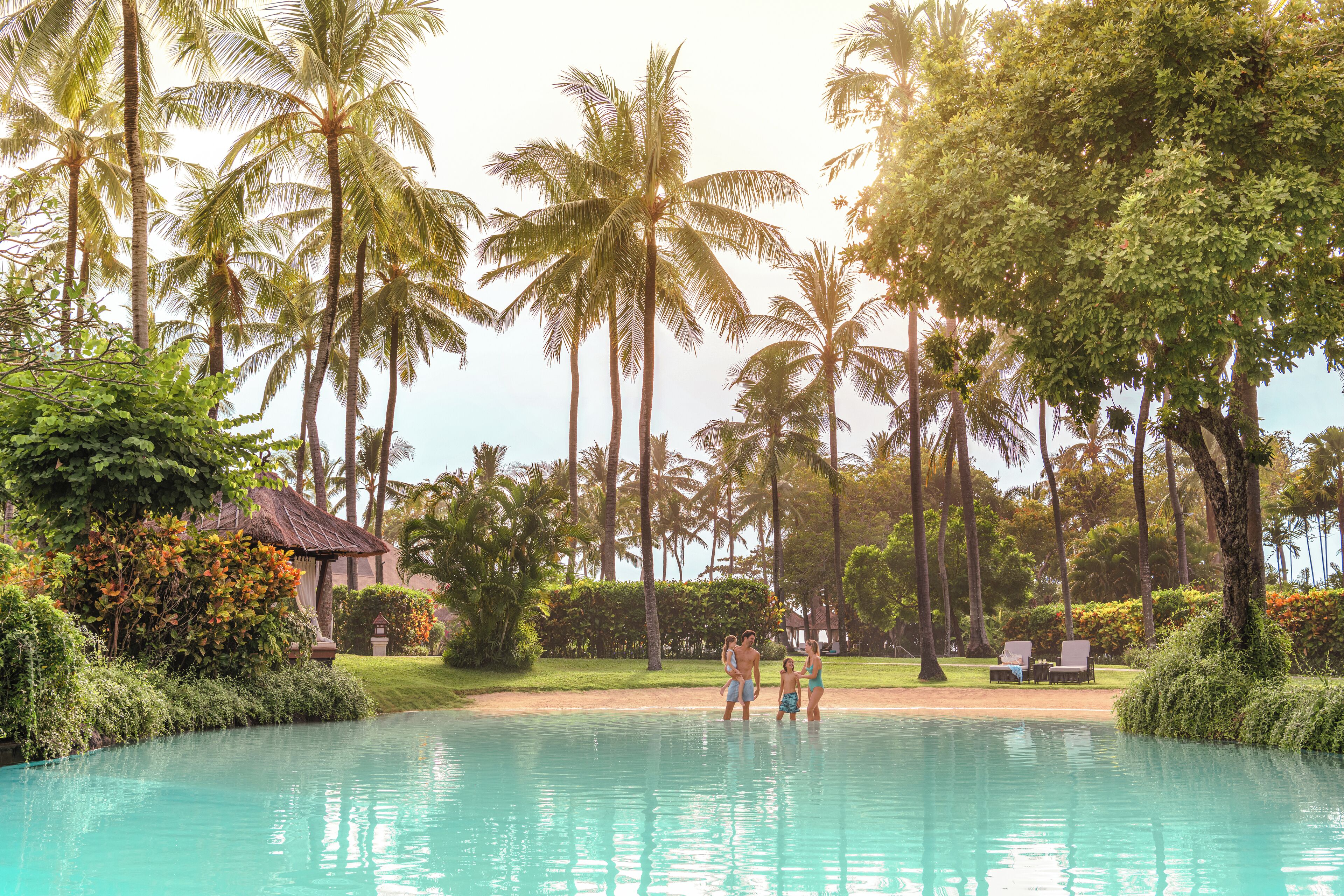 A swimming pool surrounded by palm trees and greenery, with a clear sky.