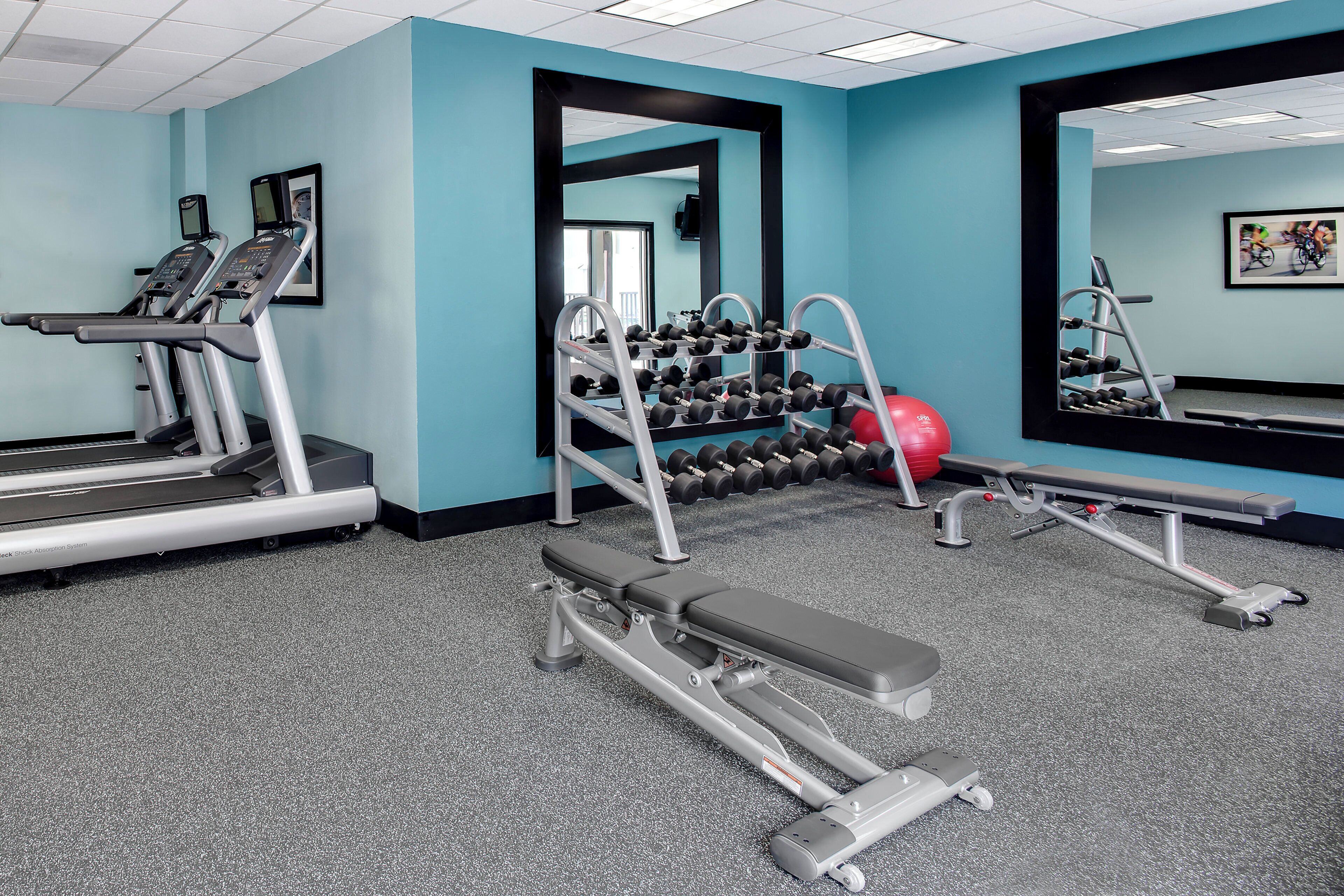 A gym with treadmills, dumbbells, a bench press, and a red medicine ball.