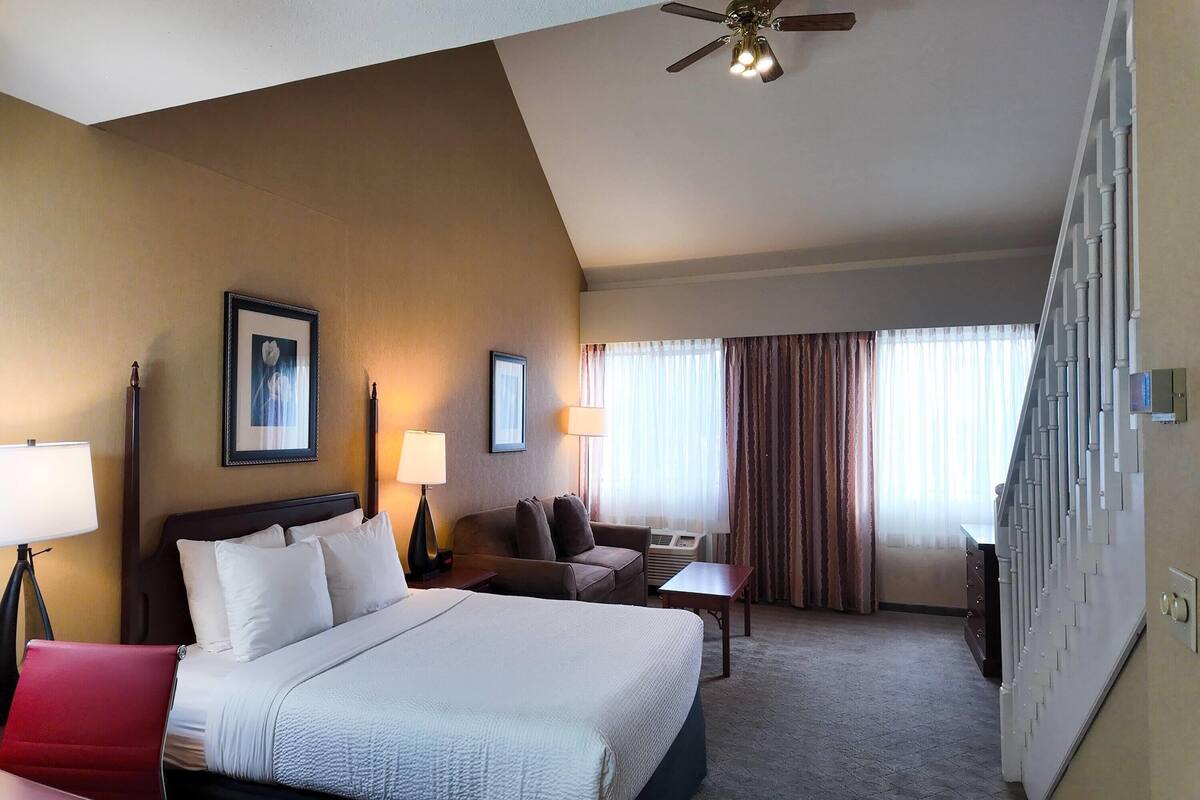 A hotel room with a bed, a sofa, a desk, and a ceiling fan.