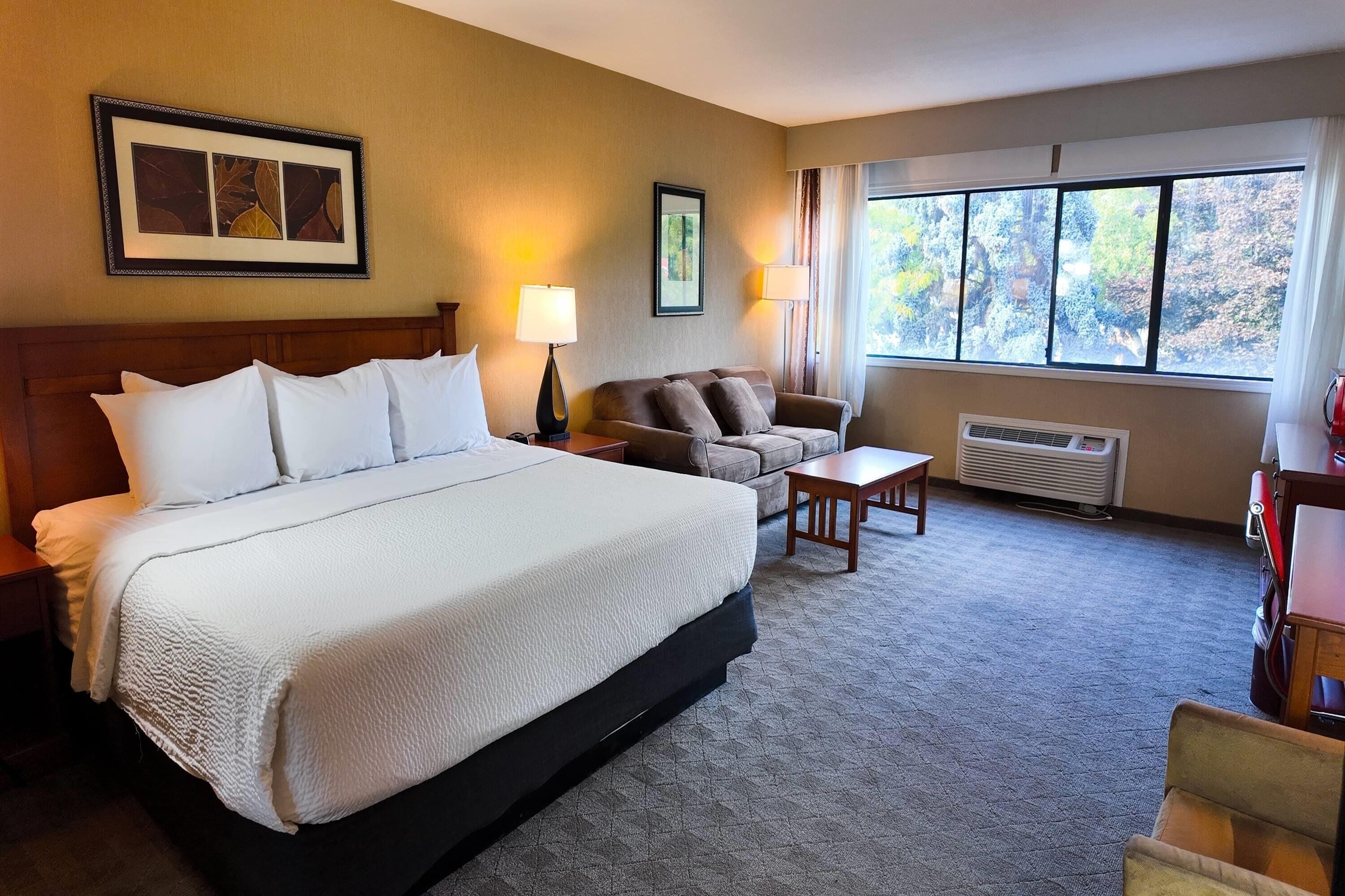 A hotel room with a large bed, a sofa, a small table, and a window with a view of trees.