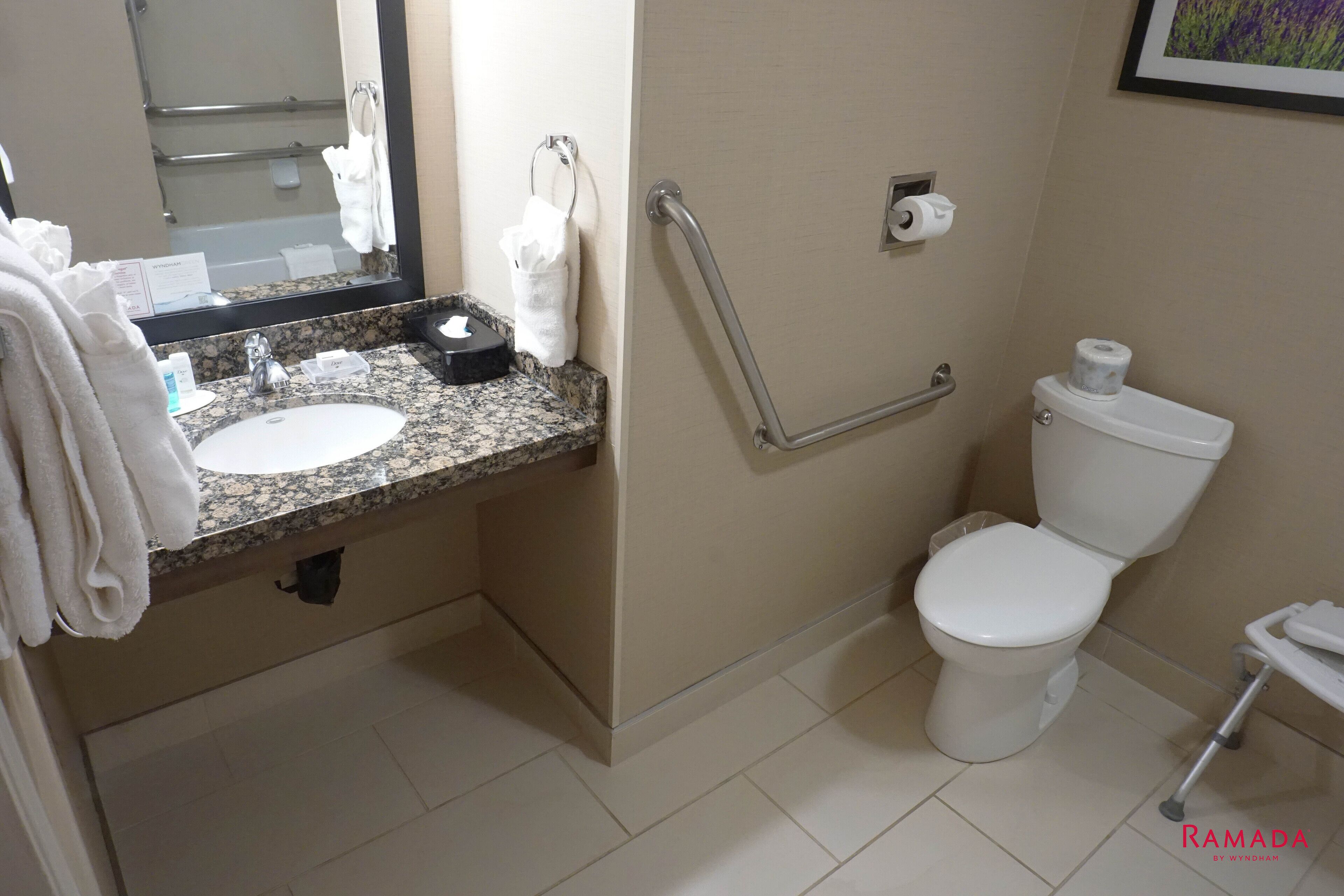 A bathroom with a granite countertop sink, a white toilet, a handrail, and a framed picture on the wall.
