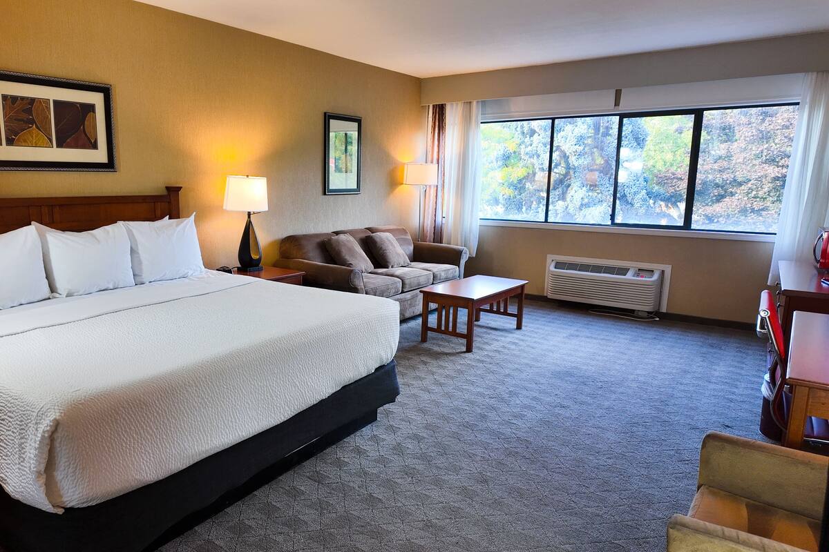 Business Room, 1 King Bed, Non Smoking