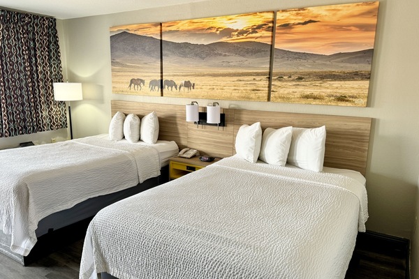 Basic Double Room, 2 Double Beds | Down comforters, desk, iron/ironing board, rollaway beds