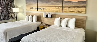 Days Inn by Wyndham Van Horn TX