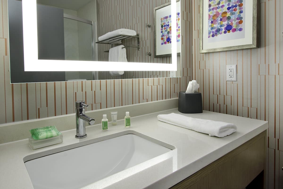 eco-friendly toiletries, hair dryer, towels