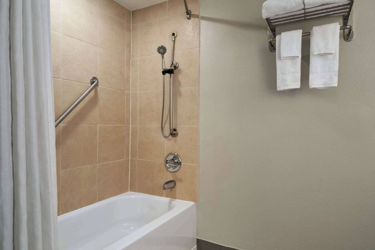 room, 1 king bed, accessible, non smoking | accessible bathroom