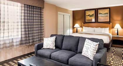 Quality Inn & Suites Plano East - Richardson