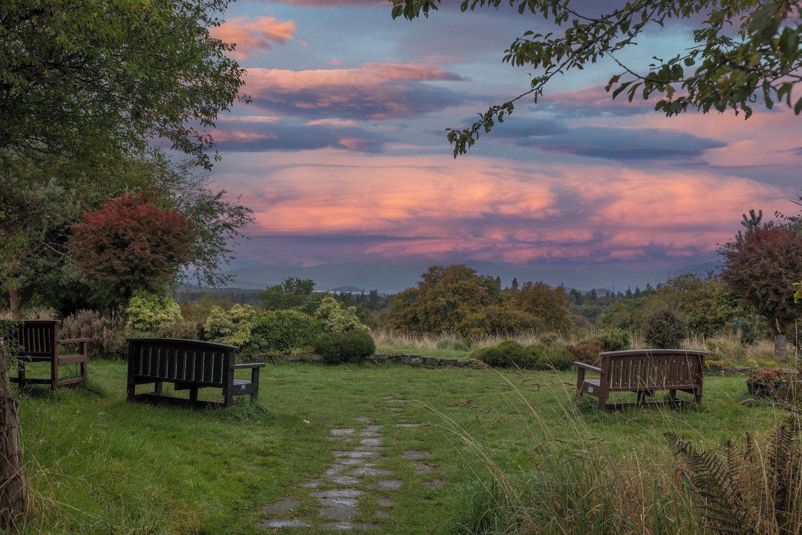 A pathway leading through a garden with benches and trees.