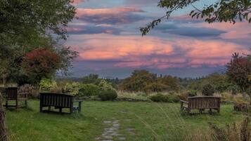 A pathway leading through a garden with benches and trees.