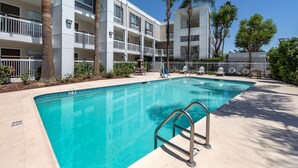 A swimming pool with a metal ladder, surrounded by a multi-story building with balconies and palm trees. - Quality Inn Placentia Anaheim Fullerton (Placentia)