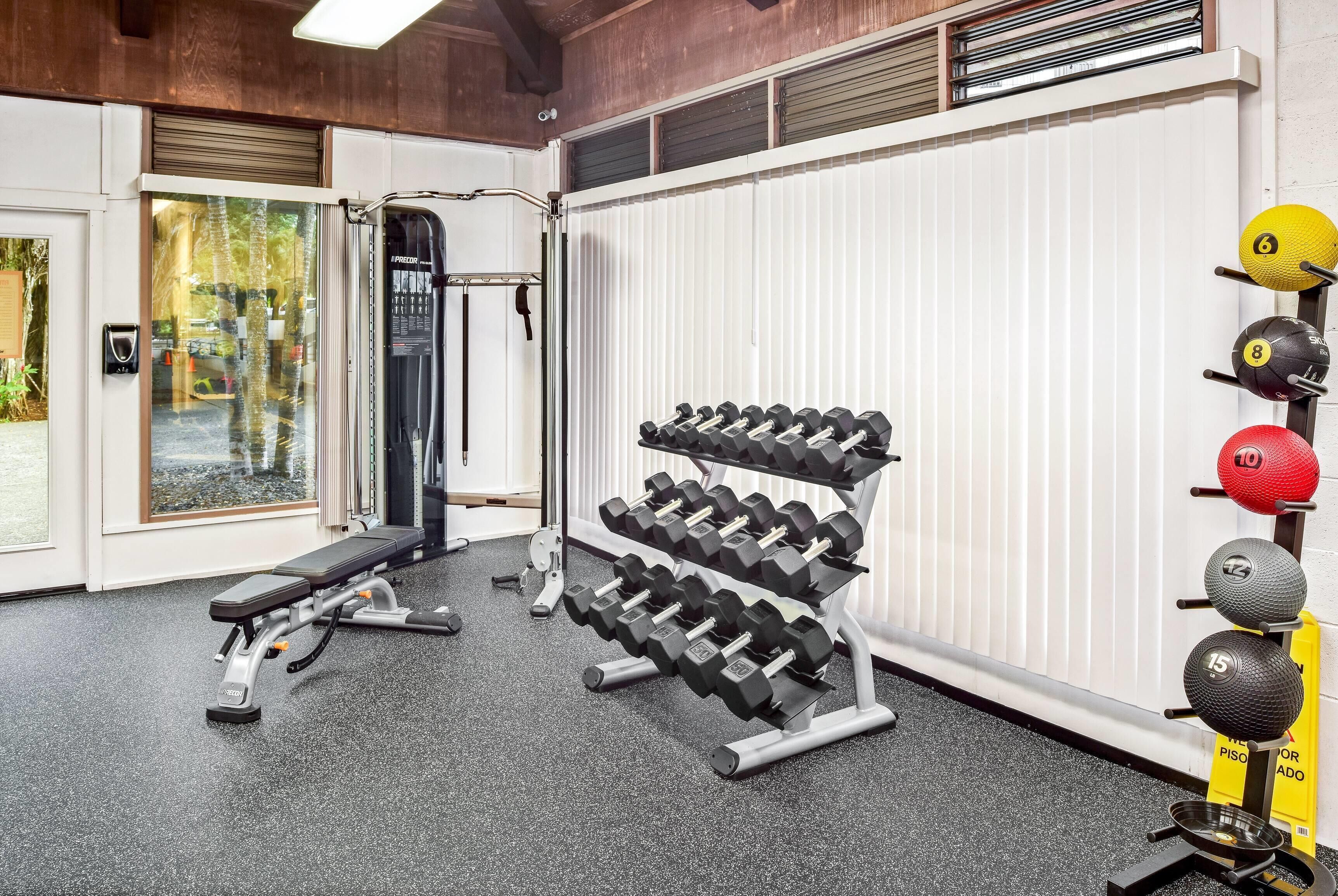 Un gimnasio con banco, mancuernas y pesas.