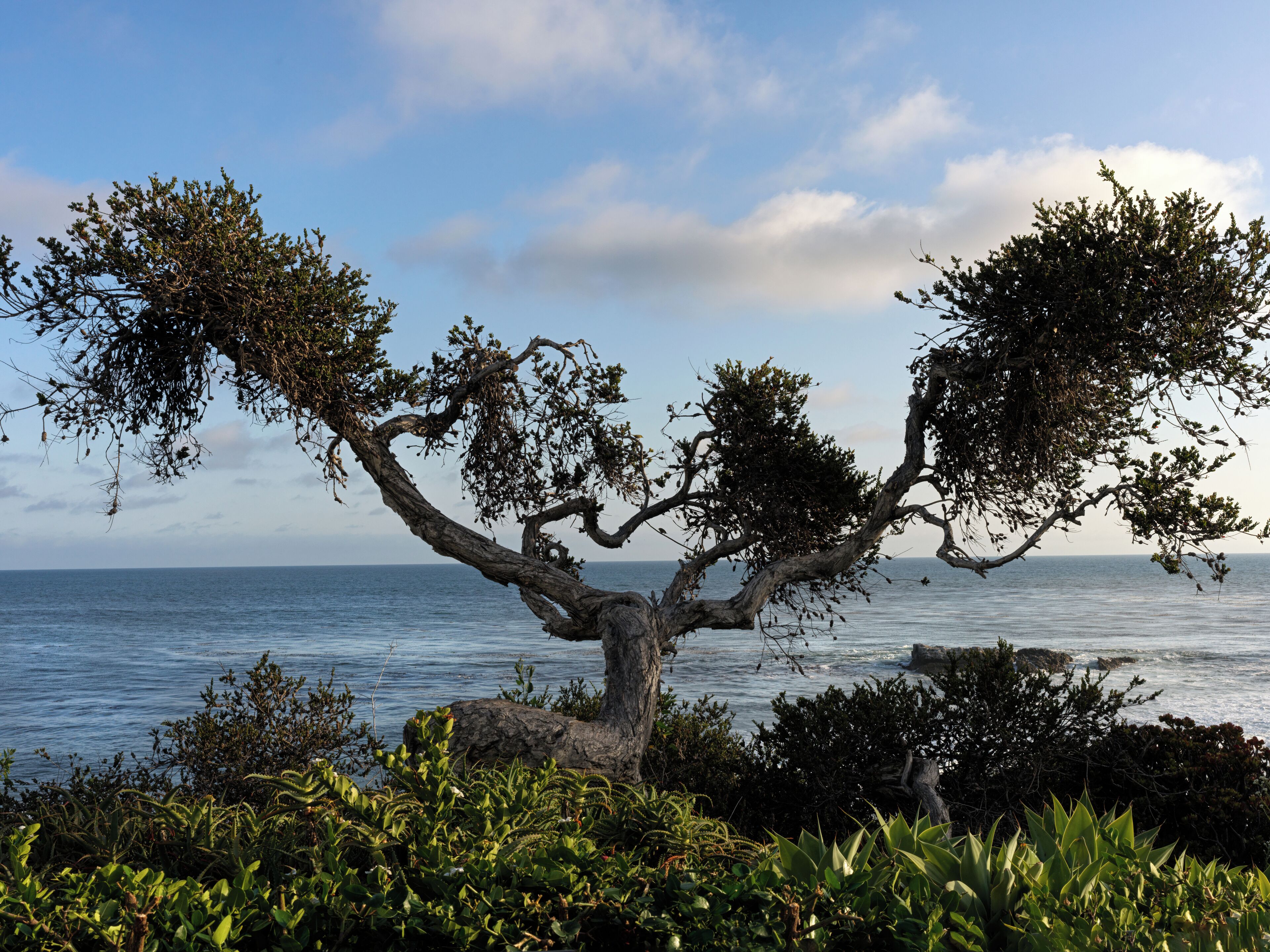 on the beach, beach umbrellas, beach towels