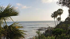 A beach with palm trees and ocean views. - Casa Loma Beach Hotel (formerly The Inn at Laguna Beach) (Laguna Beach)