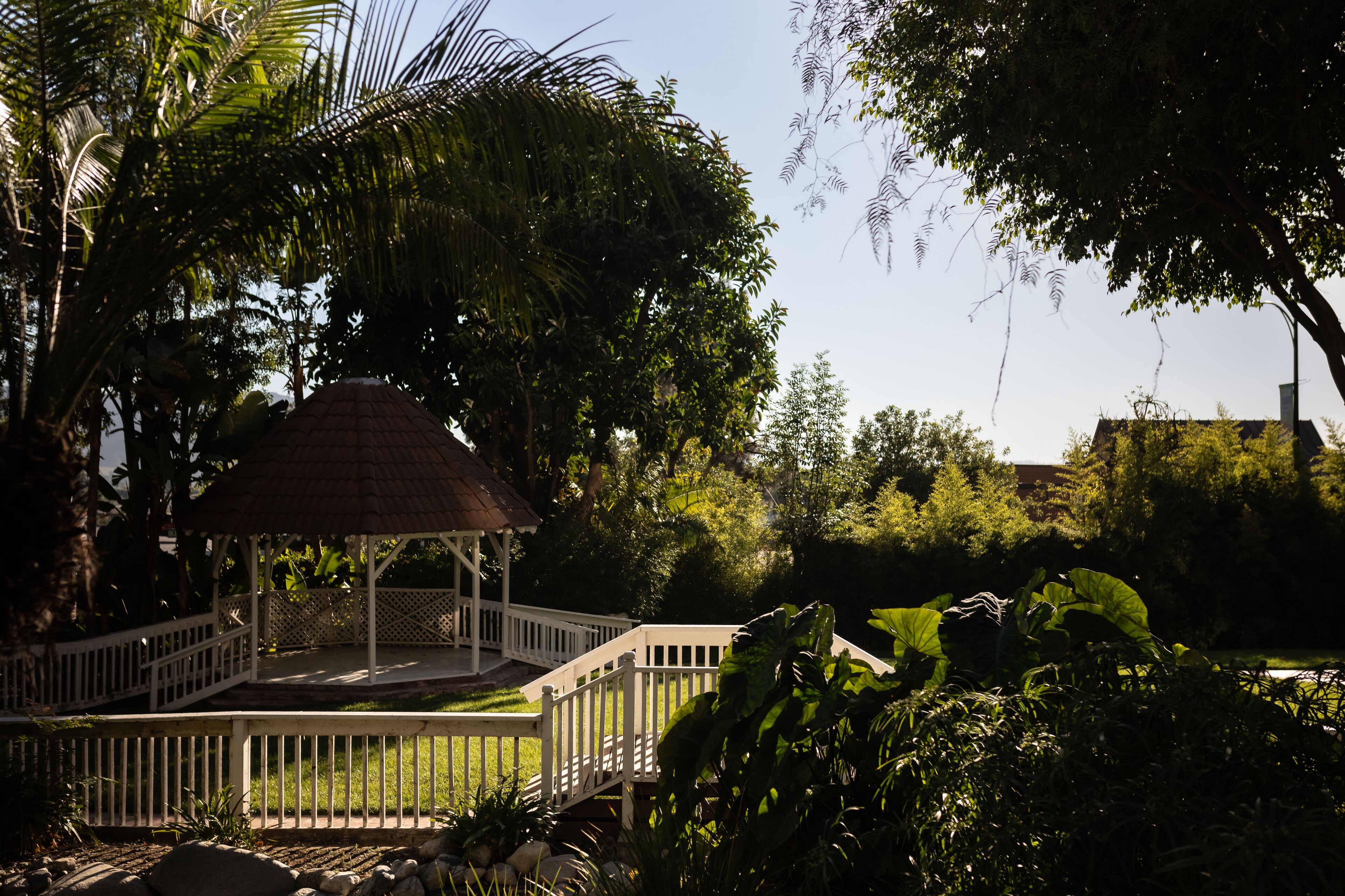 A gazebo with a white railing and a thatched roof, surrounded by lush greenery and a small pond.