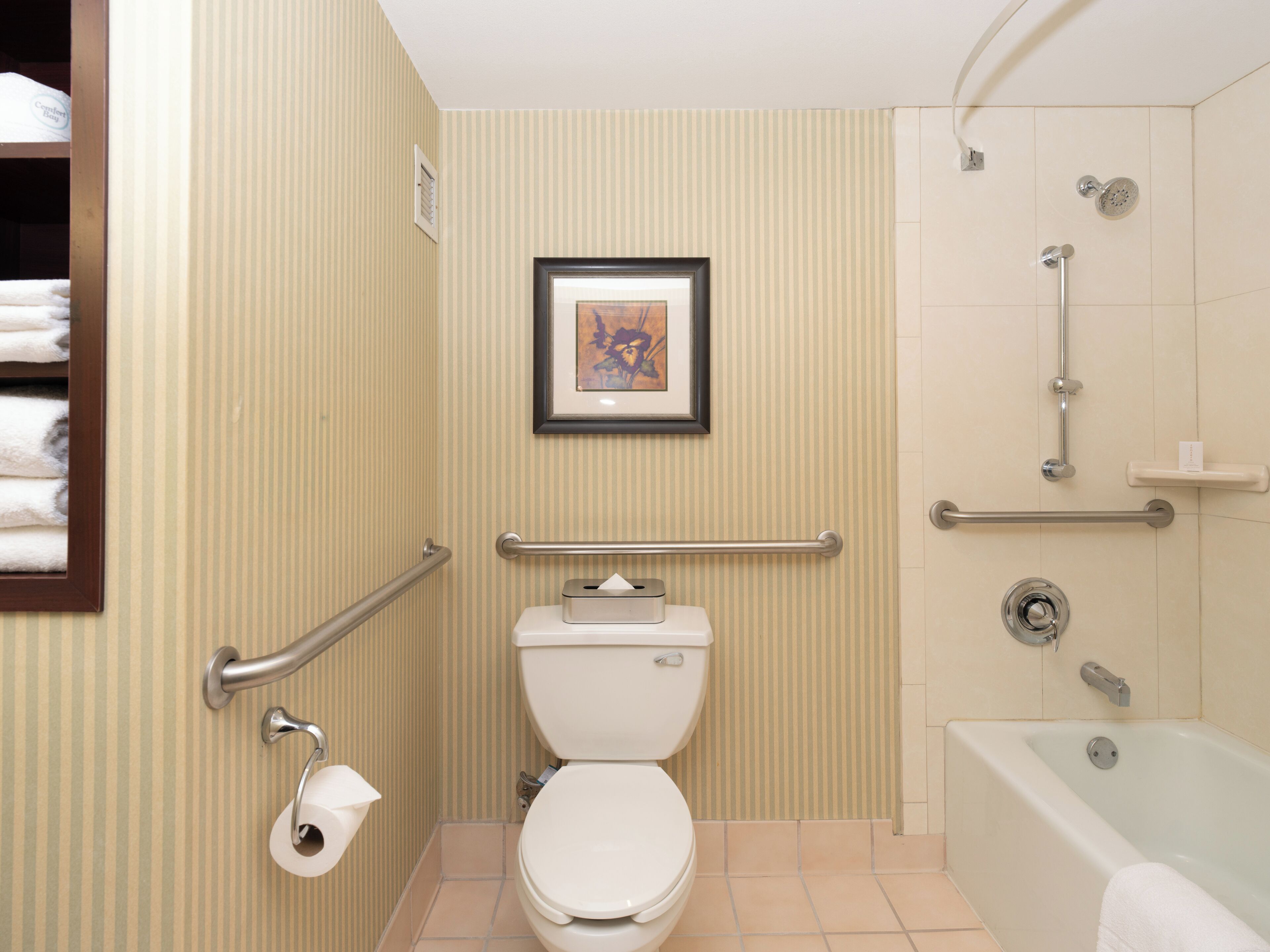 Un bagno con il water, un quadro appeso al muro, una zona doccia con maniglie di sostegno e una vasca da bagno.