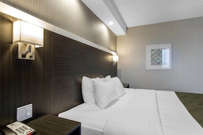 مكتب وستائر تعتيم وتجهيزات عازلة للصوت ومكواة/لوح كي