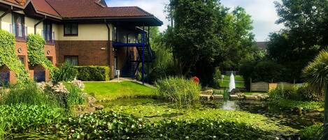 Una casa con un giardino, uno stagno ricoperto di ninfee e una scala blu.