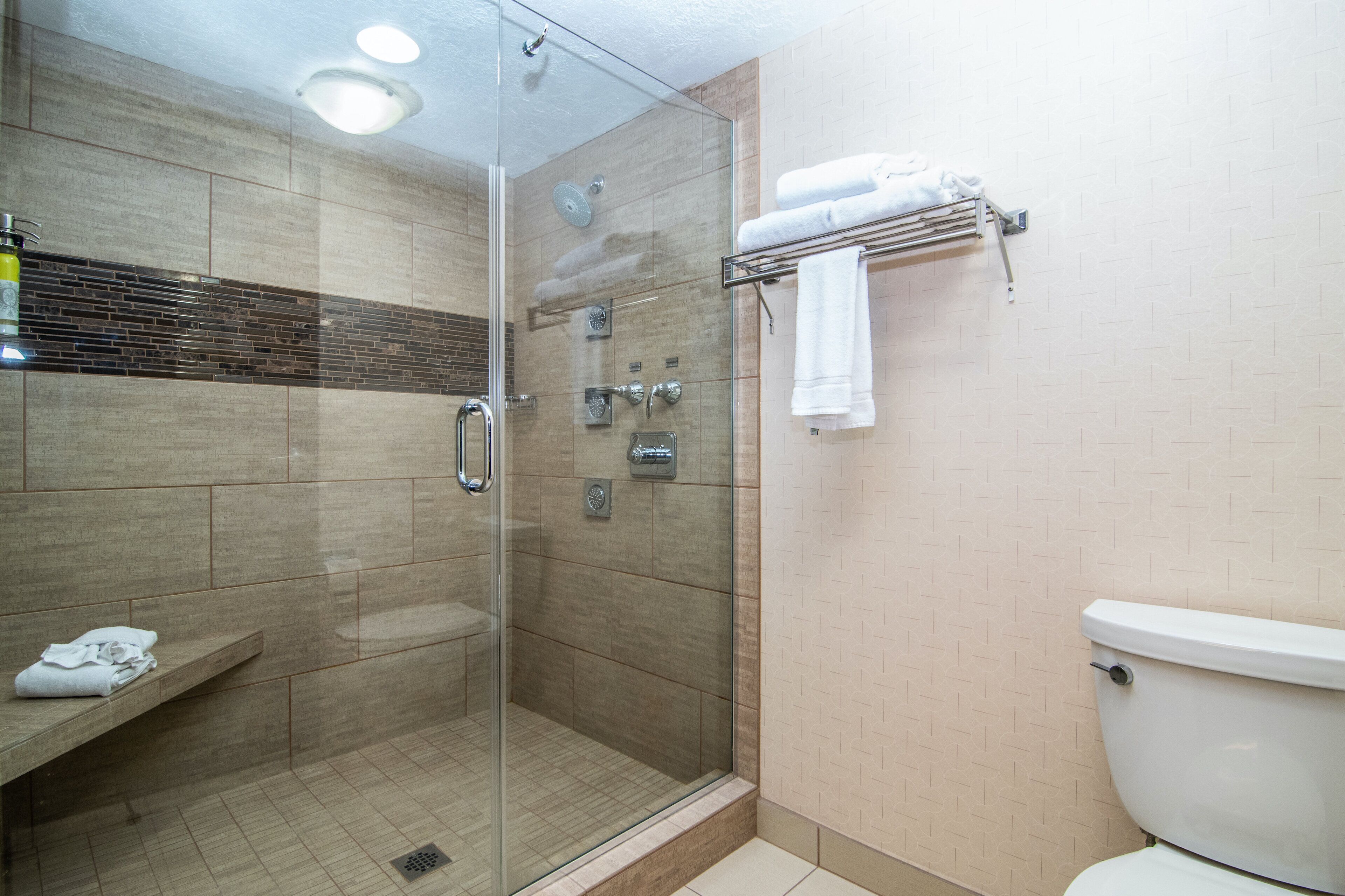 Une salle de bain moderne avec une douche à parois de verre, des toilettes et un porte-serviettes.