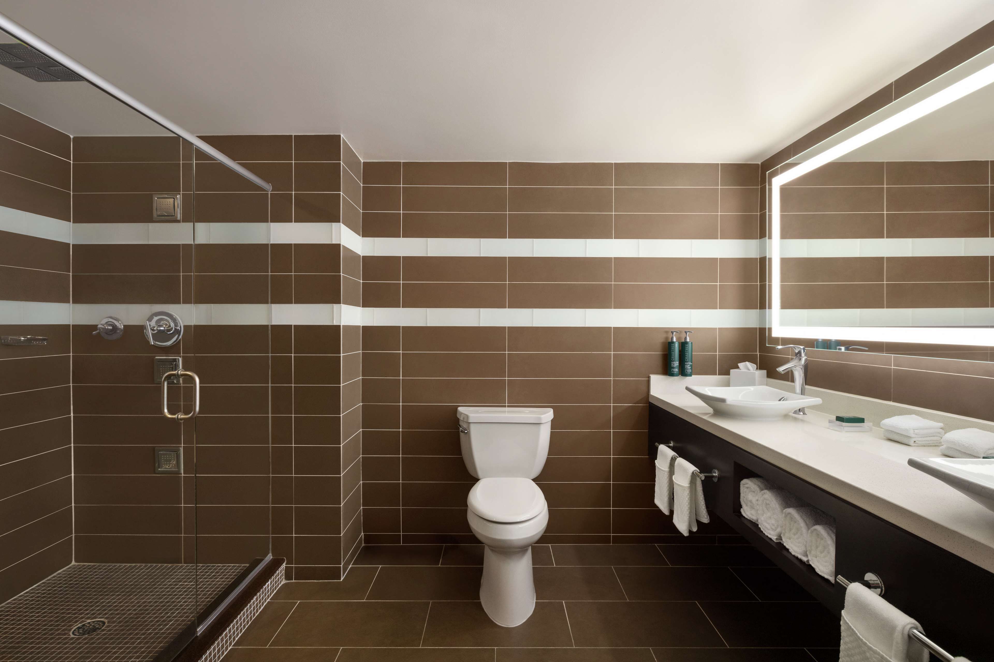 A modern bathroom with a shower, toilet, and sink area.