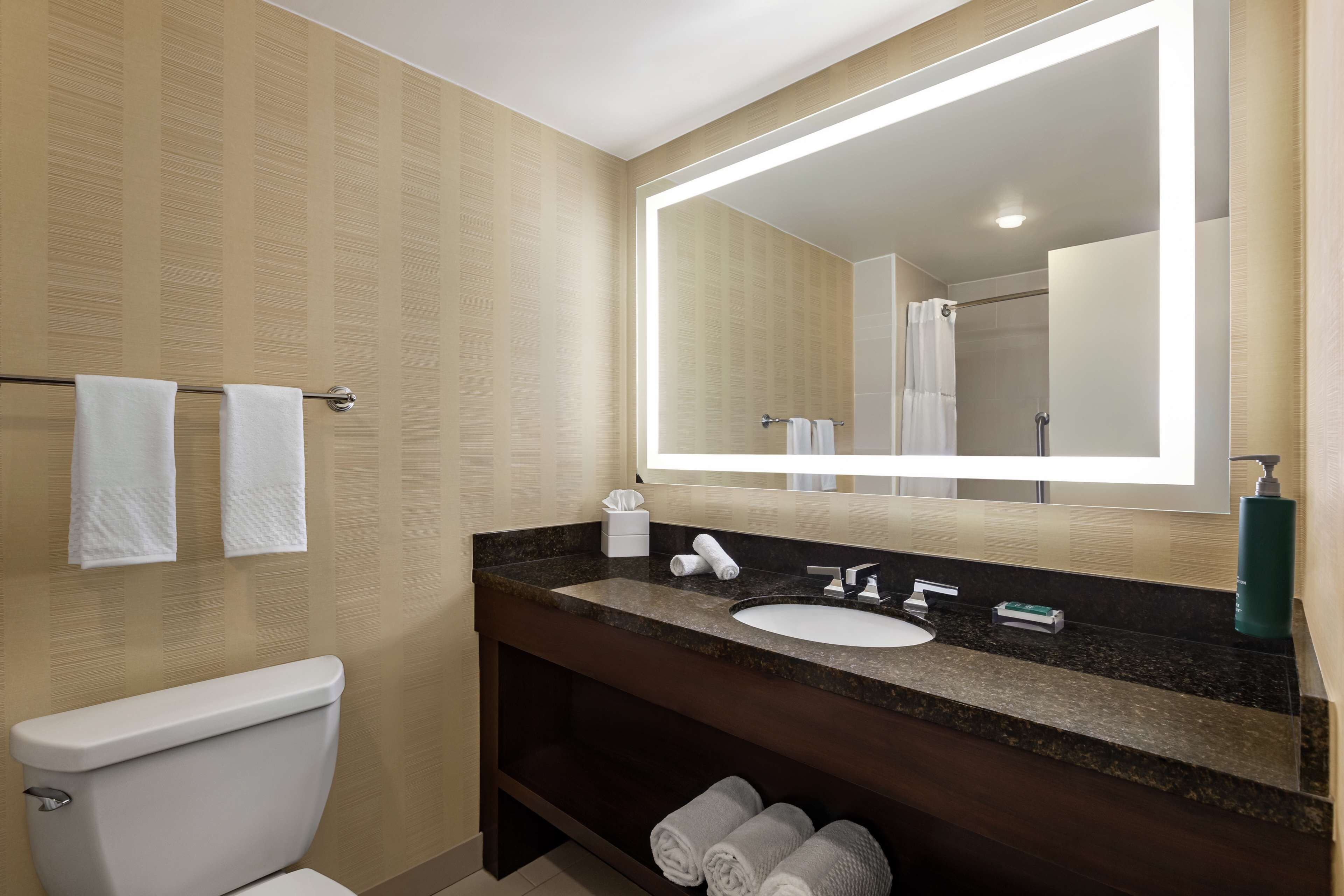 A modern bathroom with a toilet, sink, and large mirror.