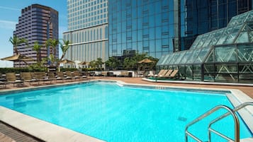 Outdoor pool, a rooftop pool, pool loungers