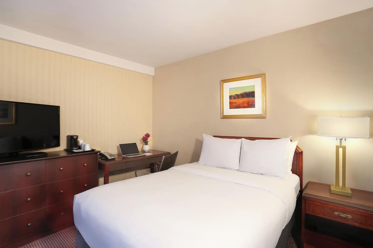 Habitación estándar, 1 cama Queen size | Ropa de cama de alta calidad y camas con pillow-top