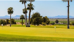 A golf course with a clear view of the green, trees, and distant mountains.