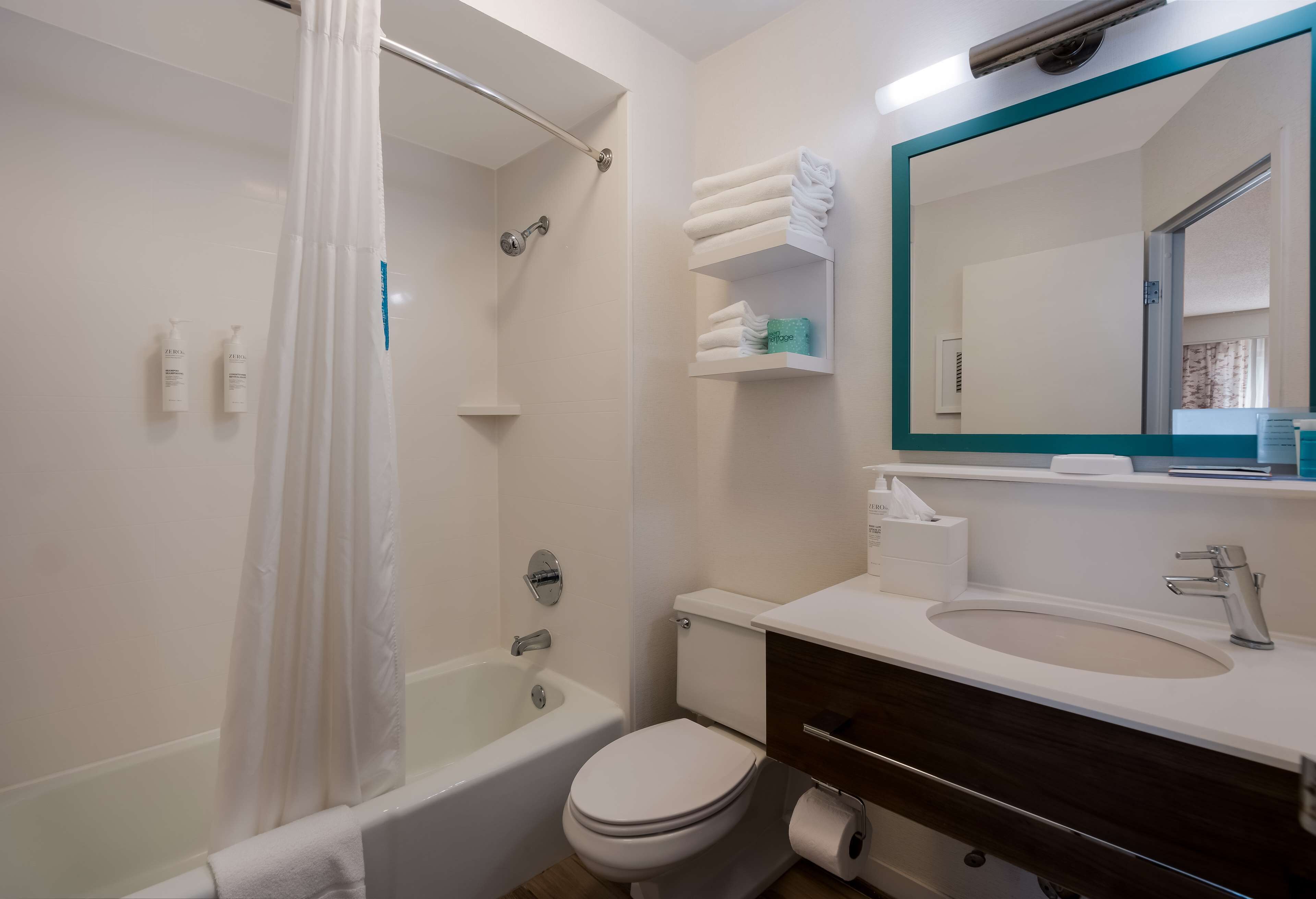 room, 1 king bed with sofa bed (study) | bathroom shower