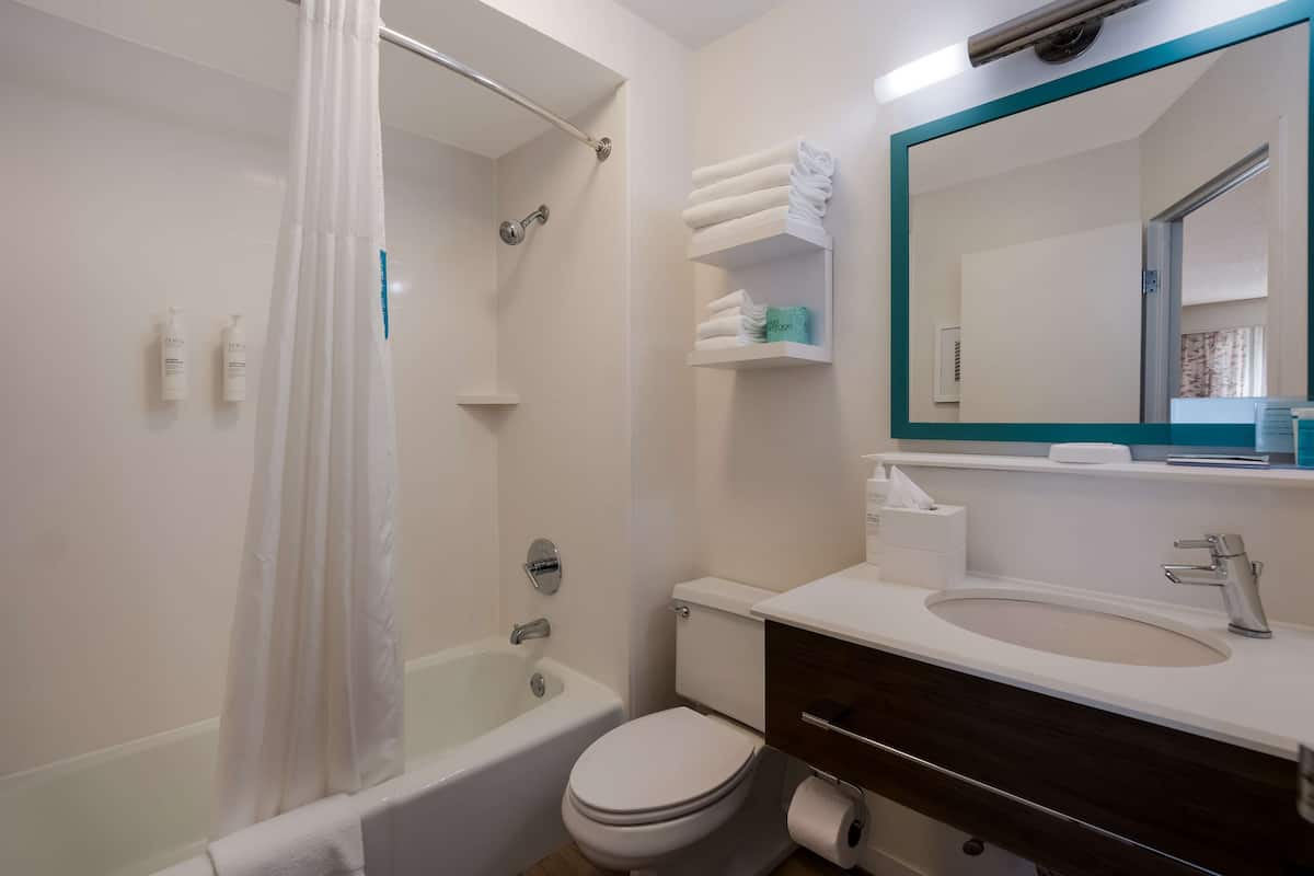 room, 1 king bed with sofa bed (study) | bathroom shower