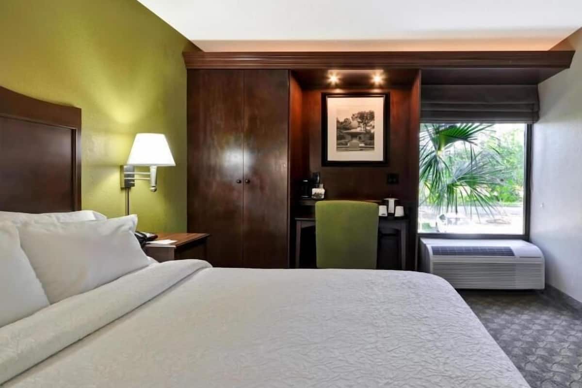 A hotel room with a bed, a desk, a chair, a lamp, a picture on the wall, and a window with a plant.