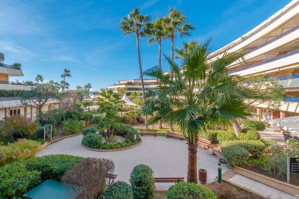 A courtyard with palm trees, benches, and a central garden.