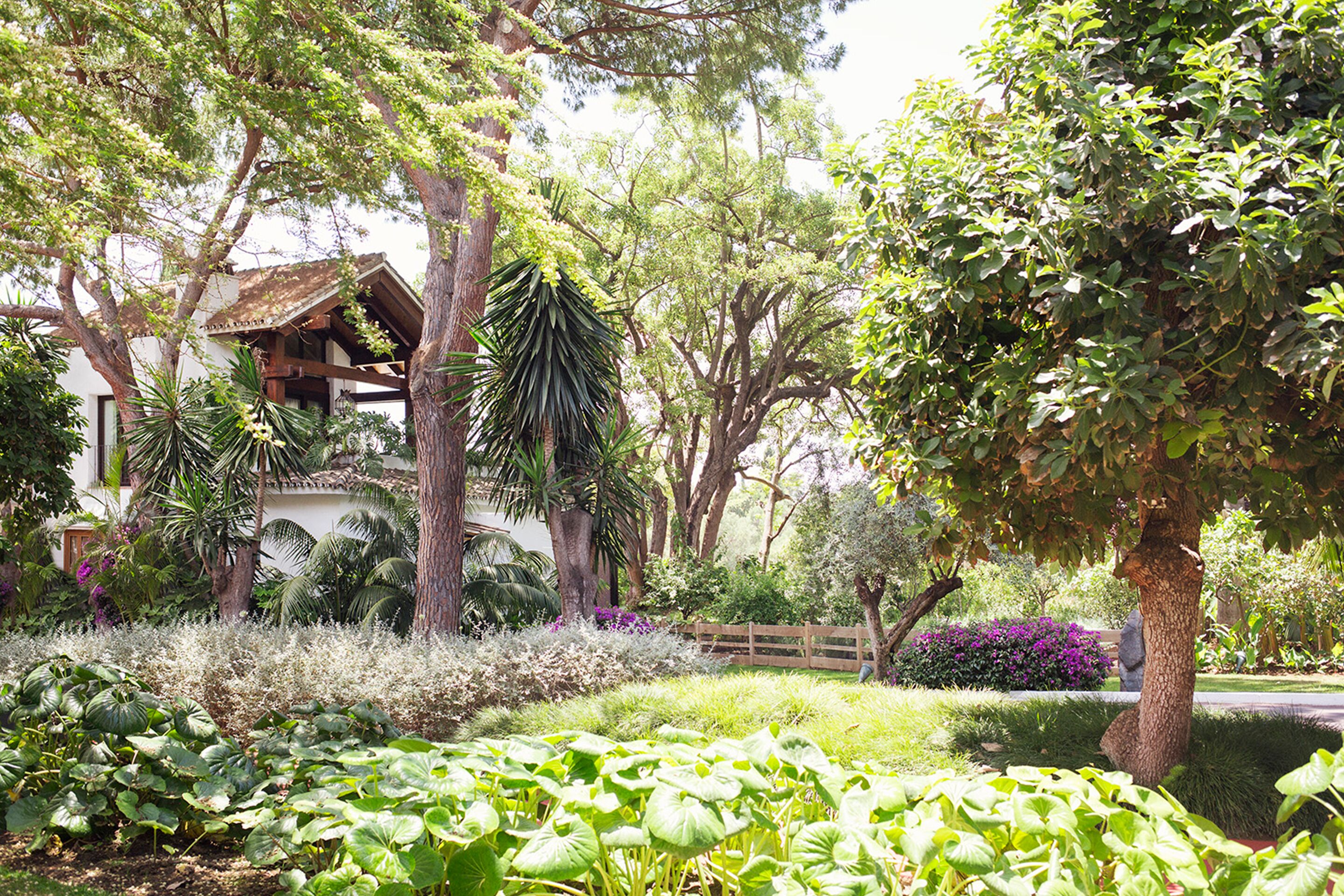 Foto - Marbella Club Hotel · Golf Resort & Spa